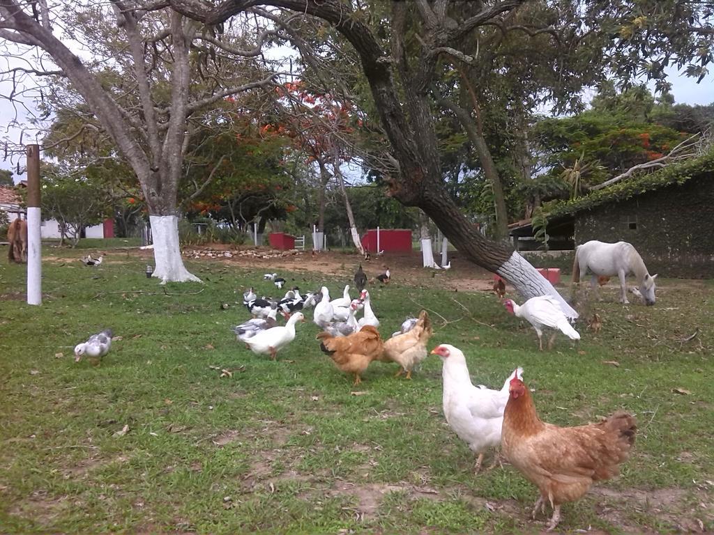 Pousada Fazendinha Buzios Ngoại thất bức ảnh